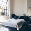 clearluvetly-blog