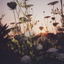 stvpidandcontagious-blog