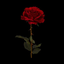 fallen1996