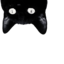 natchabro