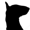 egggheads:  the idea of just adopting a shelter dog without thinking about breed