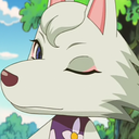 wolveswerethepriority avatar