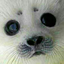 shy000boy-blog