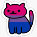 catdonald-blog avatar
