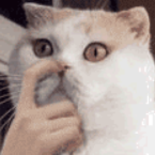 "quer vir em casa?" "vai ter comida?" "quer ir no shopping?" "vai ter comida?" "eu te amo" "vai ter comida?"