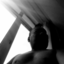 bibrief