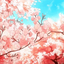 wilted-rose321-blog
