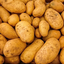 potatos-in-the-trashcan