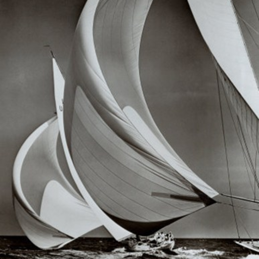 justtblue:America’s Cup 📸 Gilles Martin-Raget