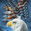 americankatz