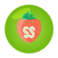 strawberry-studies