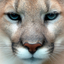 canxme-blog