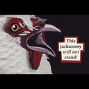 thebirdestbird avatar