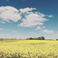 betweenskyandseainc