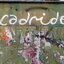 ladridoh
