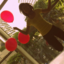 liveloveletgo