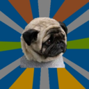 Clinically Depressed Pug