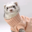 coolmustelid