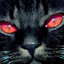 antiwoman-movedto-hedyke-blog