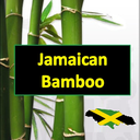 jamaicanbamboo:  I actually know him and he’s been in commercials on TV in Jamaica. Will add some sexy stuff I have of him to my blog soon.