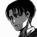Levi The Housewife