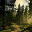 treesareforme-blog