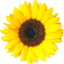 ebbandflowyo