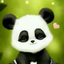 zoe-the-panda-16-blog