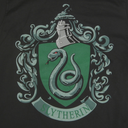 House of Slytherin