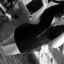 nyctophiiliiacx-blog