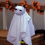 ghostiiet-blog