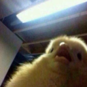 shawtea:  It’s the middle of the day I don’t got no business being horny 