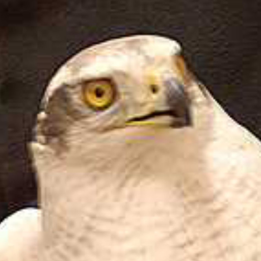 sigoshawk: Im living for this content  it got better