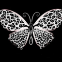 lacybutterfly avatar