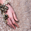 altamodacouture
