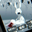 bustedbunni