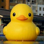 redpinguin