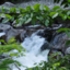 dr-photo865
