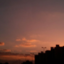 tori-aest