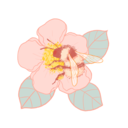 honeytreebusybee avatar