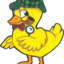 sundayduck