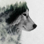 giulswolf