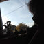 windowsillgardening