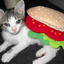 popepetcare-blog