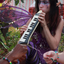 tigerbuddhafly-blog