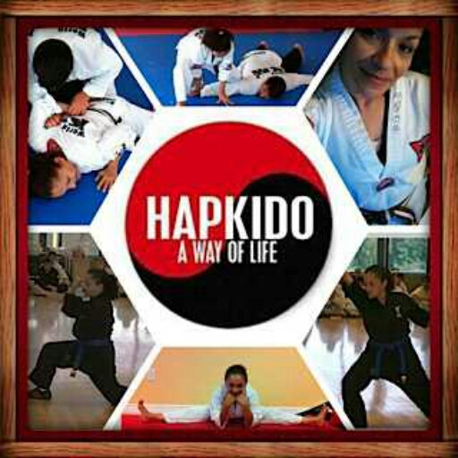 Porn Pics Hapkido Philosophy