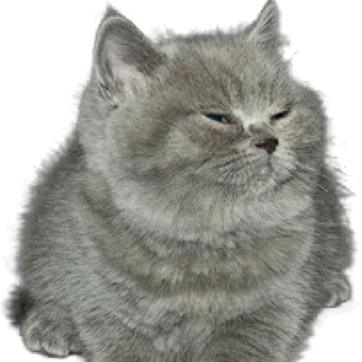 darcylewislaufeyson:  “do you think he’s attractive?” the straight male is asked. against his better judgement, he says “yeah, i guess so.” suddenly, the police burst in. they seize the man, take away his certificate of heterosexuality, and