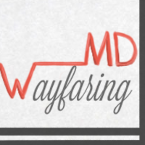 wayfaringmd:Greenhouse EffectitisChief complaint: recurrent feversWayfaring: so how high have these fevers been?Patient: oh I haven’t actually taken my temperature. I just feel really hot when I’m outside. Wayfaring: you felt hot…when it was