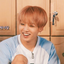haystobitbts