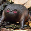beanteaa